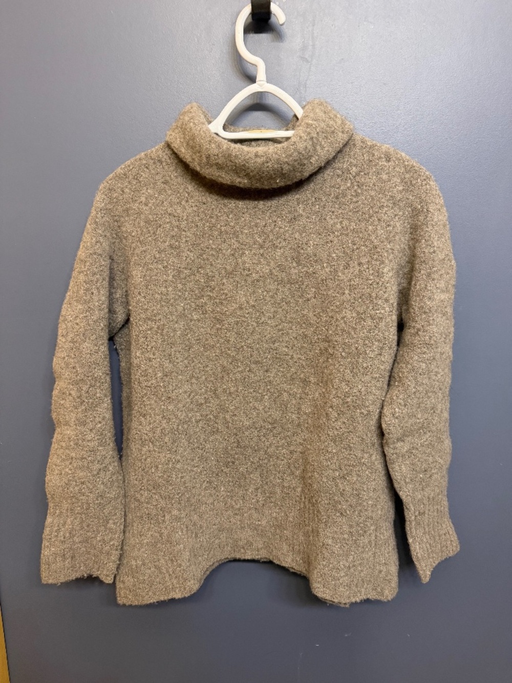 Aritzia Merino Wool Trutleneck (size L)